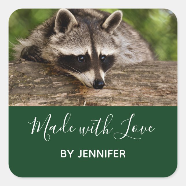 Sticker Carré Raccoon mignon reposant sur une rondelle, fait ave (Devant)