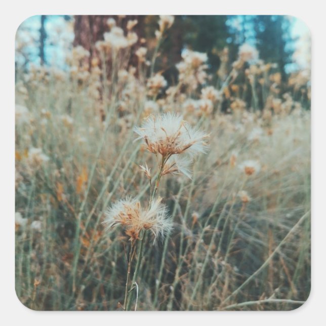 Sticker Carré Randonnée dans Big Bear (Devant)