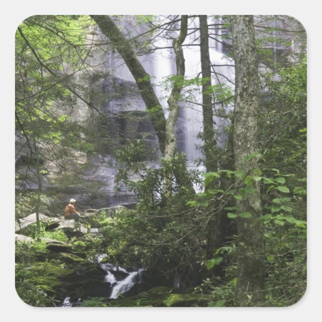 Sticker Carré Randonneur admire Falls Branch Falls (Devant)