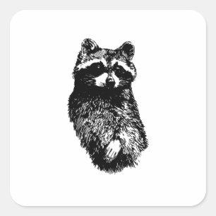 Sticker Carré Raton laveur