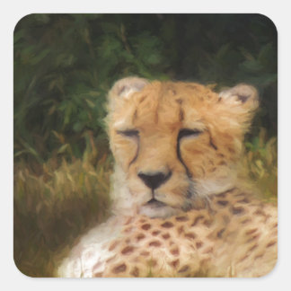 Sticker Carré Recenser Cheetah au Fossil Rim Wildlife Centre