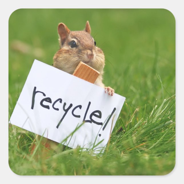 Sticker Carré recyclage (Devant)
