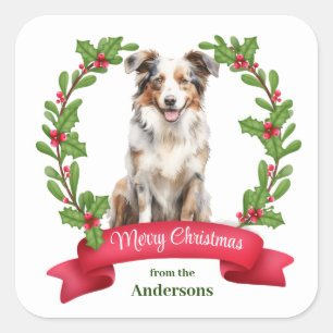 Sticker Carré Red Berry Holly Banner Australian Shepherd Holiday