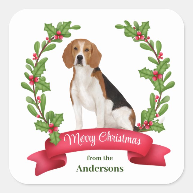 Sticker Carré Red Berry Holly Banner Beagle Noël (Devant)
