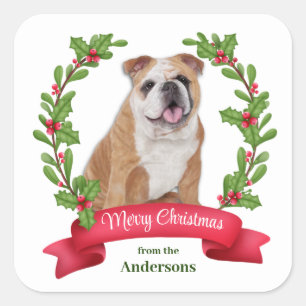 Sticker Carré Red Berry Holly Banner Bulldog Noël
