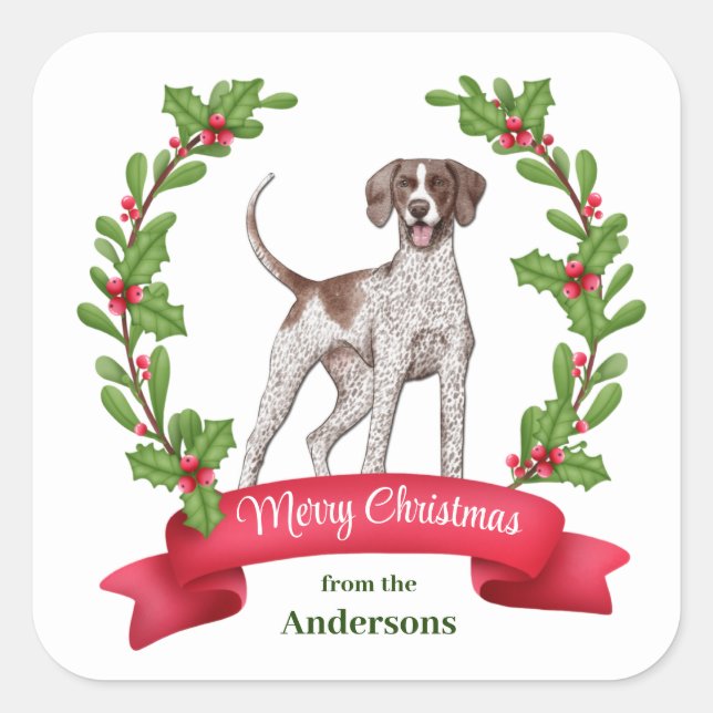 Sticker Carré Red Berry Holly Banner Pointer Chien Noël (Devant)