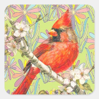 Sticker Carré red cardinal