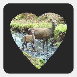 Sticker Carré Red Deer Doe et Baby Deer