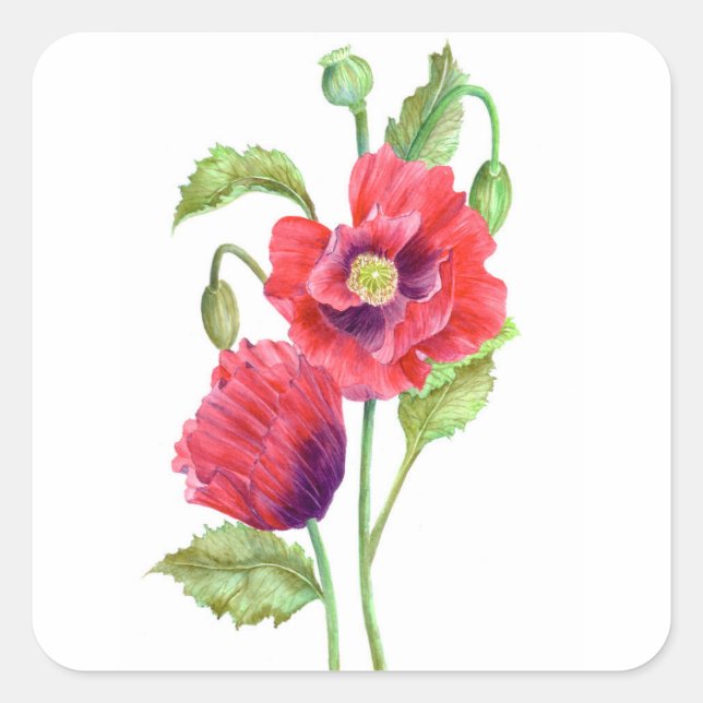Sticker Carré Red Poppies Floral Art (Devant)