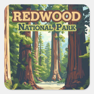 Sticker Carré Redwood National Park California Tree Retro
