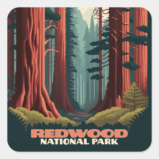 Sticker Carré Redwood National Park Californie Trees (Devant)