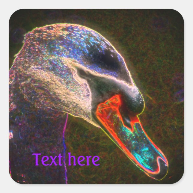 Sticker Carré Regal Swan Art Abstrait Nature Personnalisée (Devant)