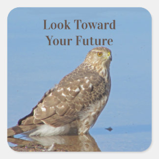 Sticker Carré Regardez vers l'avenir Raptor Wild Bird Hawk Gradu