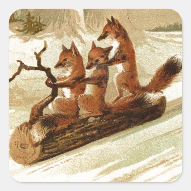 Sticker Carré Renard (Devant)