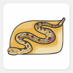 Sticker Carré Reptile de serpent