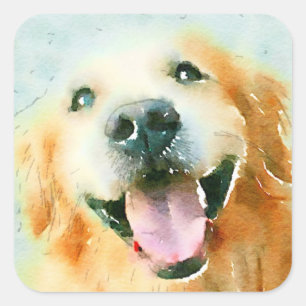 Sticker Carré Retriever doré souriant en aquarelle