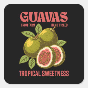 Sticker Carré Retro Guavas Fruit Commercial Graphisme Art Style