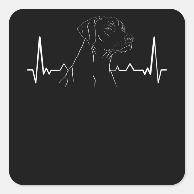 Sticker Carré Rhodesian Ridgeback (Devant)