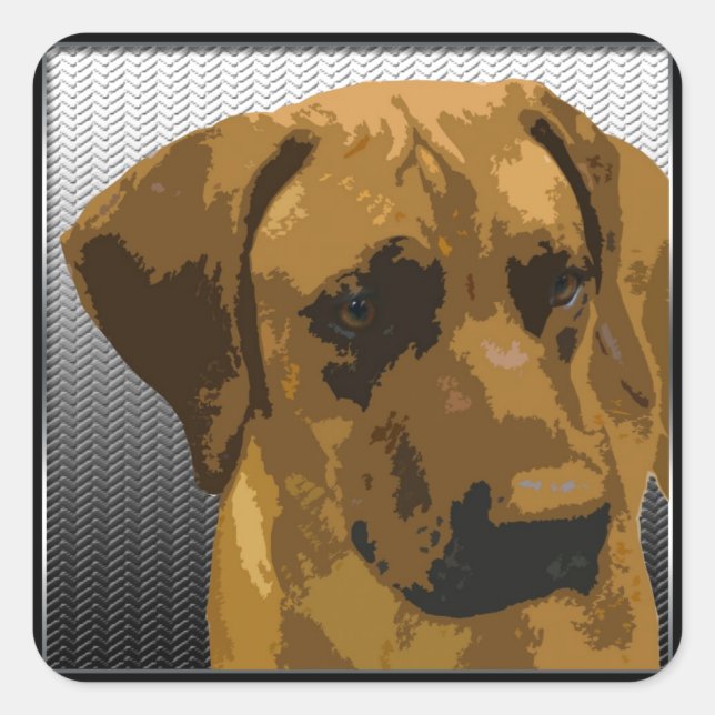 Sticker Carré Rhodesian Ridgeback (Devant)