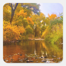 Rivage d'automne