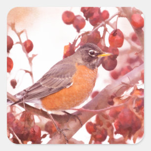 Sticker Carré Robin Avec Berries Rouges