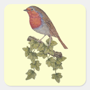 Sticker Carré Robin perché sur des feuilles de lierre oiseaux sa