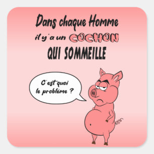 Sticker Carré Ronchon le cochon