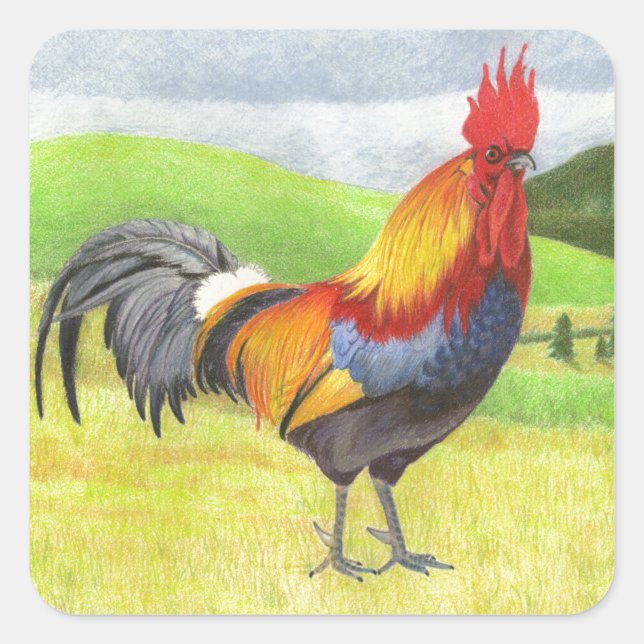 Sticker Carré Rooster (Devant)