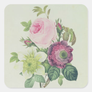 Sticker Carré Rose, anémone et clématide