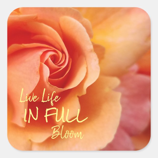 Sticker Carré Rose Blossom / Apricot Peach / Citation Inspiratio (Devant)