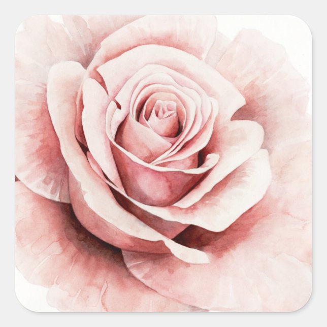 Sticker Carré Rose rose rose (Devant)