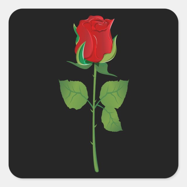 Sticker Carré Rose rouge à longue tige (Devant)