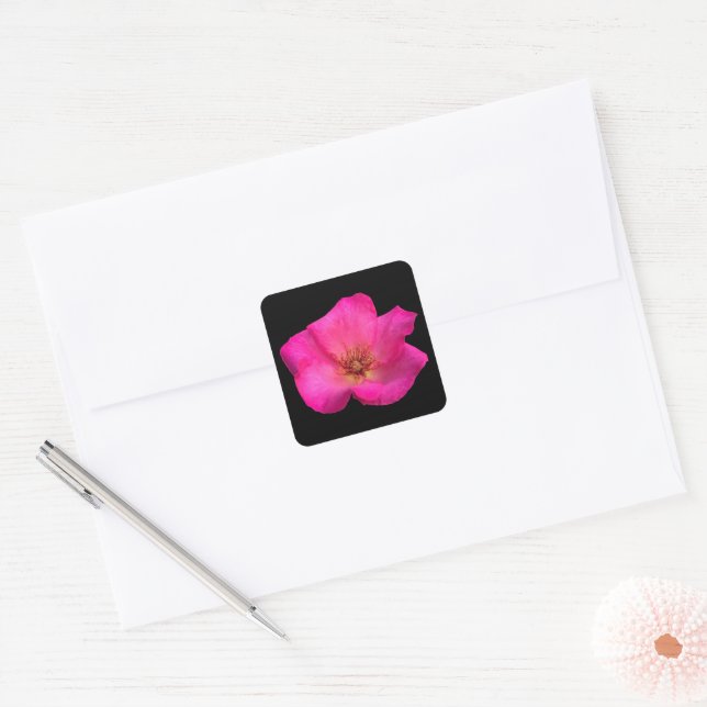 Sticker Carré Rose senti (Enveloppe)