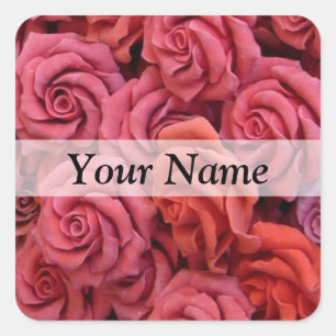 Sticker Carré Roses à fleurs roses