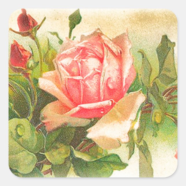 Sticker Carré Roses in Bloom (Devant)
