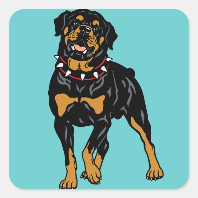 Sticker Carré rottweiler (Devant)