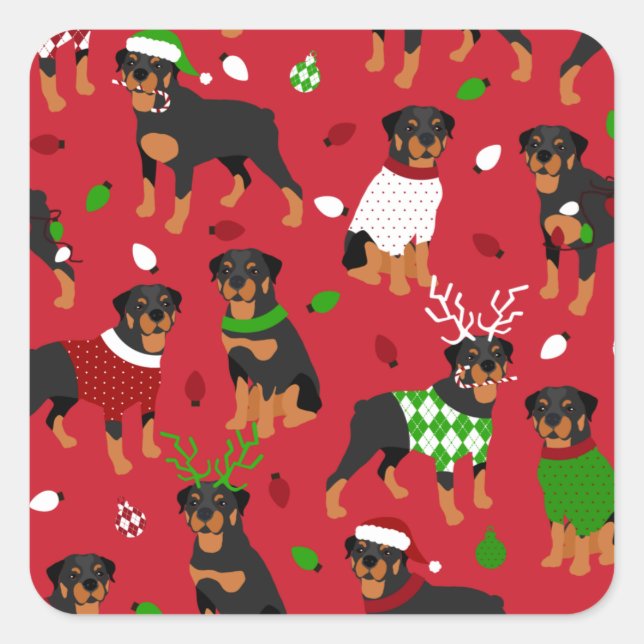 Sticker Carré Rottweiler de Noël (Devant)