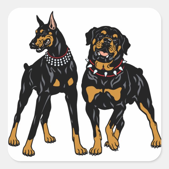 Sticker Carré rottweiler et doberman (Devant)