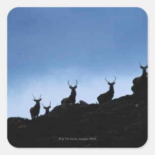 STICKER CARRÉ ROUGE DEER (CERVUS ELAPHUS) SILHOUETTÉ CONTRE