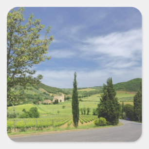 Sticker Carré Route de campagne entre cyprès et