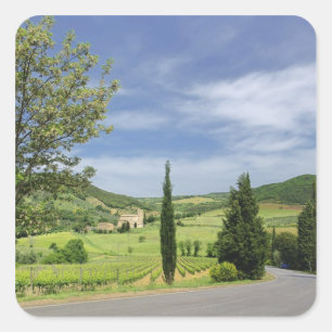 Sticker Carré Route de campagne sinueuse entre des cyprès en