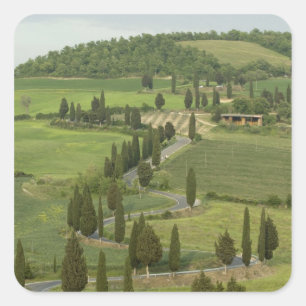 Sticker Carré Route de Pienza à Montepulciano
