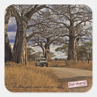 Sticker Carré Safari