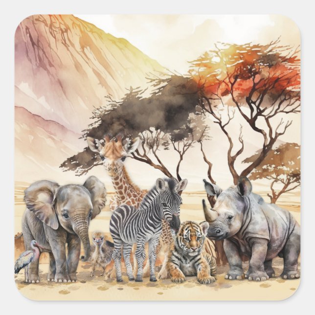 Sticker Carré Safari Animaux Enveloppe Invitation Phoques (Devant)