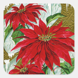 Sticker Carré Salutations de Noël Pointsettia