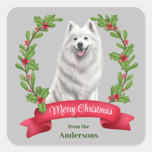 Sticker Carré Samoyed Dog Holly Banner Noël
