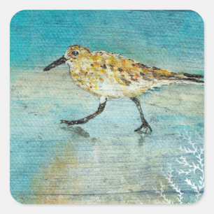 Sticker Carré Sandpiper Beach Shorebird Weathered Artwork