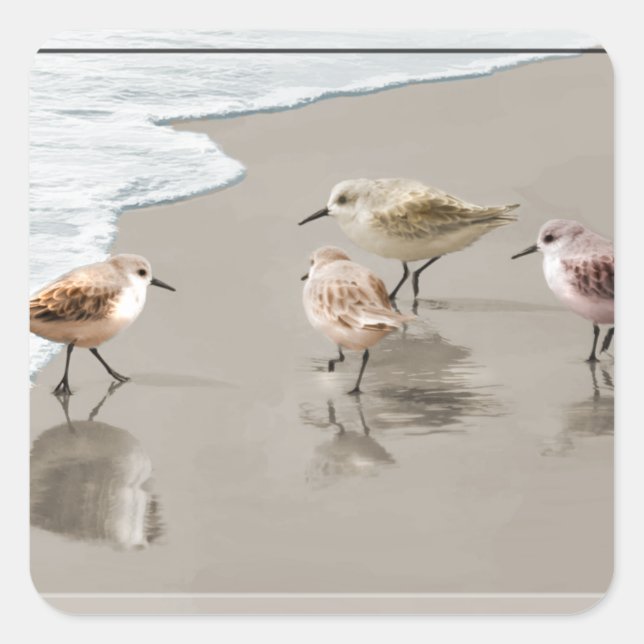 Sticker Carré Sandpipers au bord du rivage (Devant)
