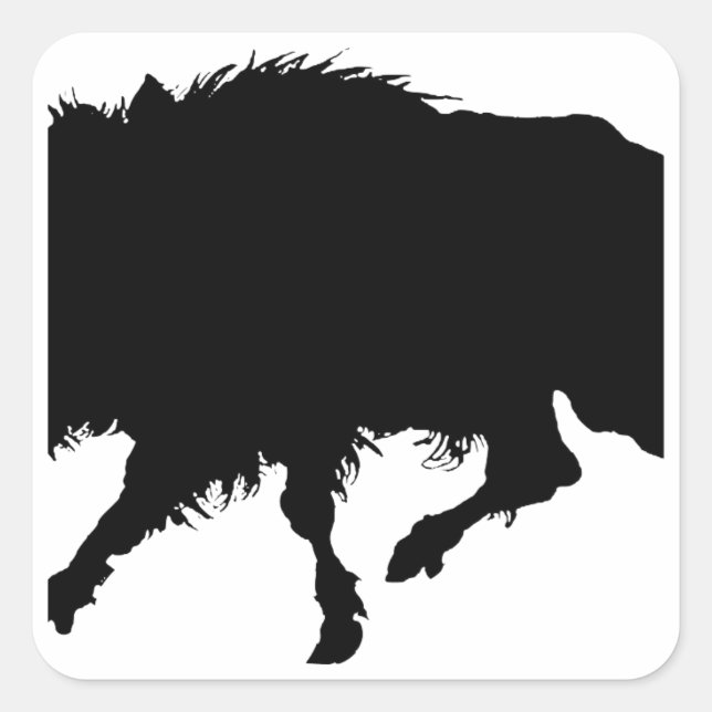 Sticker Carré Sanglier ou cochon sauvage Elégant Silhouette (Devant)
