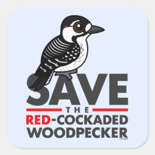 Sticker Carré Sauvez le pivert Rouge-cockaded